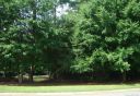 Bay Pointe Drive 55 sold home in Denver, SC