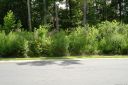 1019 Dacavin Drive 28 sold home in Charlotte, SC
