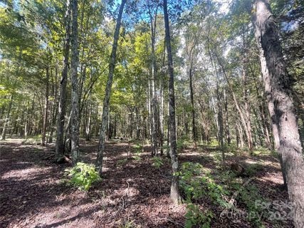 6350 Hawk Nest Drive sold home in Hawk Hill, Concord, NC