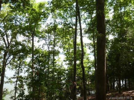 Lot 11 Tributary Drive