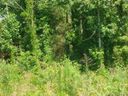 175a Williams Road 175A sold home in Fort Mill, SC