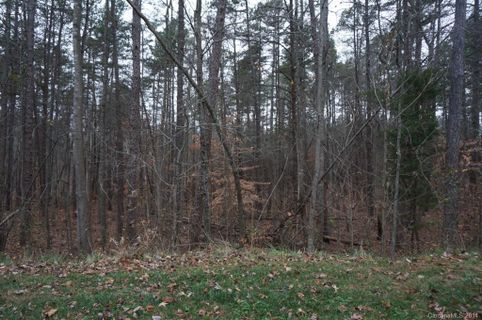 117 Hawks Nest Lane sold home in Woodstream Estates, Mooresville, NC