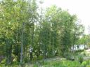 2097 Brandt Road 13 sold home in York, SC