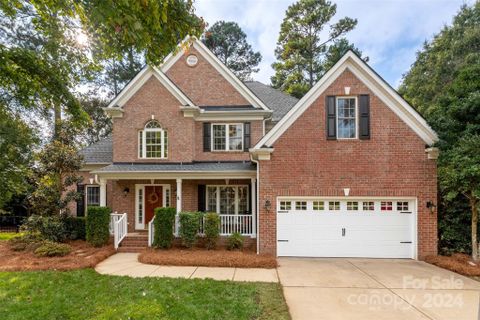 10238 Willow Rock Drive sold home in Cobblestone, Charlotte, NC