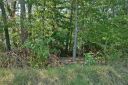 3005 Applewood Point 26 sold home in Belmont, SC