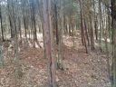 9303 Guildbrook Road 146 sold home in Davidson, SC