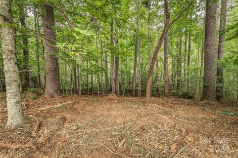 Lot 42 Mountain Brook Trail