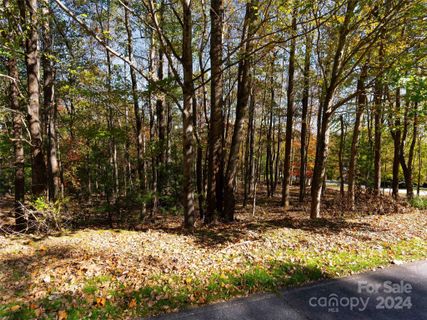 308 Piney Knoll Lane