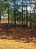 5048 Stockbridge Drive sold home in Mount Holly, SC