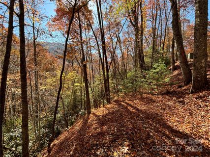 Lot 33 Coppermine Ridge active home in Coppermine Ridge, Whittier, NC