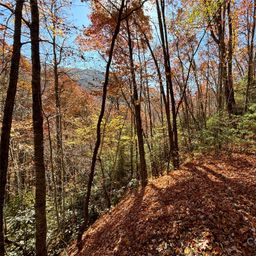 Lot 33 Coppermine Ridge