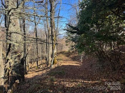 962 Lookout Drive