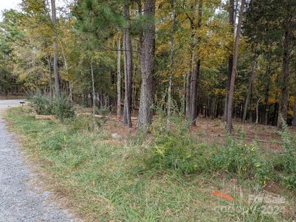 3 447 Acres Spratt Road active home in Lake Wylie, York, SC