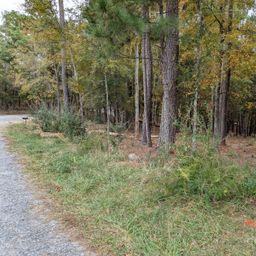 3 447 Acres Spratt Road