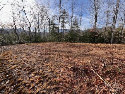 Lot 2 Tobacco Branch Road