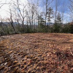 Lot 2 Tobacco Branch Road