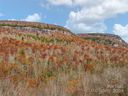 Tbd Cold Mountain Road Hilltop Camp sold home in Lake Toxaway, SC