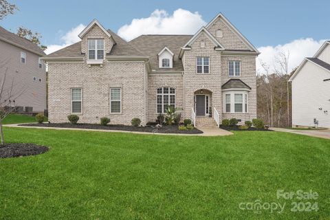 8511 Raven Top Drive