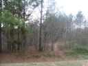 5045 Stockbridge Drive 62 sold home in Mount Holly, SC