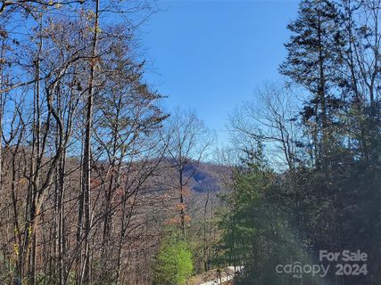336 Falling Leaves Lane
