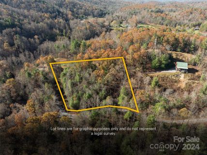 99999 Big Raven Lane active home in Winfield Cove, Saluda, NC