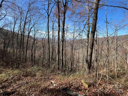 Lot 8 Falls View Drive active home in The Falls, Bryson City, NC