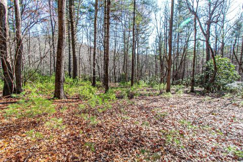 Tbd Cherrywood Lane sold home in Sweetwater Farms, Pisgah Forest, NC
