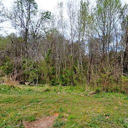 237 Nance Road