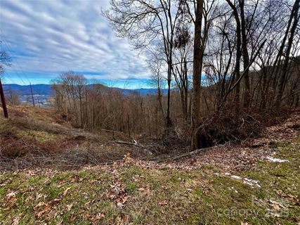 4 And 4b Salisbury Cove active home in Utah Mountain Estates, Waynesville, NC