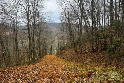 19 Flowing Hills Drive active home in Winfield Estates, Clyde, NC