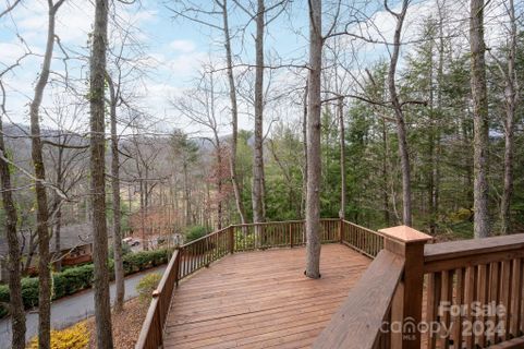 106 Buffalo Trail sold home in Buffalo Mountain, Asheville, NC