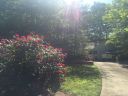 8220 Camelia Lane sold home in Denver, SC