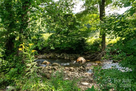 00000 Scout Trail