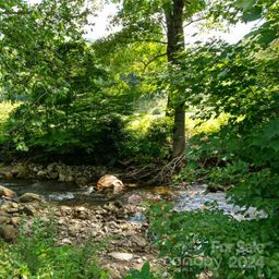 00000 Scout Trail