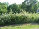 180 Oak Creek Road 451 sold home in Statesville, SC