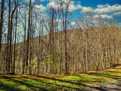 45 Ashewood Mountain Way sold home in Ashewood, Candler, NC