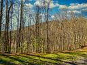 45 Ashewood Mountain Way sold home in Candler, SC