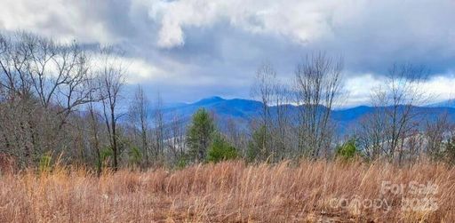 255 Clearview Lane active home in French Broad Crossing, Marshall, NC