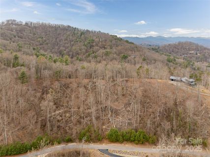 Homes in Town Mountain Preserve, Asheville