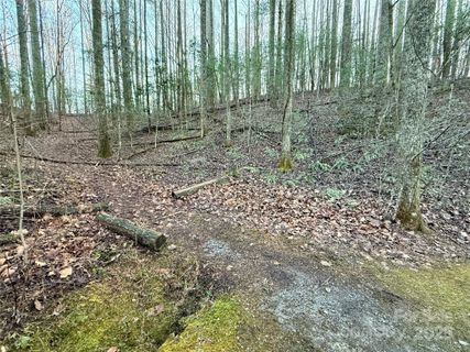 000 Spring Road sold home in Willow Creek Farms, Hendersonville, NC