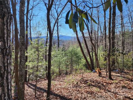 000 Mountain Vista Drive sold home in Dancy Mountain, Mcgrady, NC