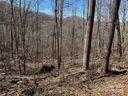 Lot 25 Andrew Banks Road sold home in Burnsville, SC