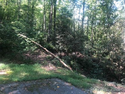 Tbd Peppervine Circle active home in Round Mountain Falls, Rosman, NC