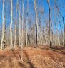 Lot 3 Brancer Lane sold home in Lincolnton, SC