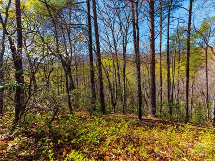 107 Deep Gap Road active home in Brights Creek, Mill Spring, NC