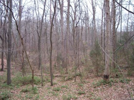 Lot 20 Woodforest Drive sold home in Woodforest, Rock Hill, SC