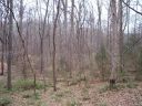 Lot 20 Woodforest Drive sold home in Rock Hill, SC