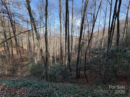 Tr 6 Little Bit Trail active home in High Top Mountain, Whittier, NC