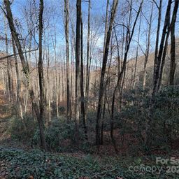 Tr 6 Little Bit Trail