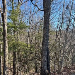 210 Thistlewynd Trail
